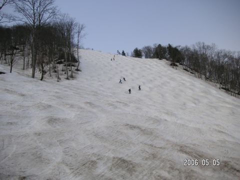 s_pict0095.jpg